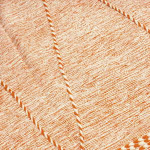 Berber moroccan rug